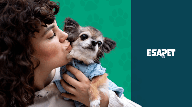 Emotional Support Dogs: Breeds, Rights & How to Get One 1 Emotional Support Dogs