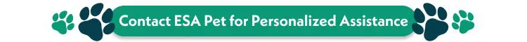 Emotional Support Animals (ESAs) and Renting: A Guide for Tenants 4 Contact ESA Pet for Personalized Assistance