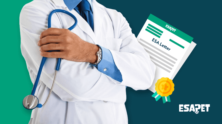 Who can write an emotional support animal letter (ESA letter) legally? (2026 Update) 1 definition, rights, and responsibilities of emotional support animals