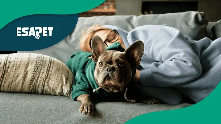 Fibromyalgia Service Dog: Essential Support and Benefits 10 Fibromyalgia Service Dog