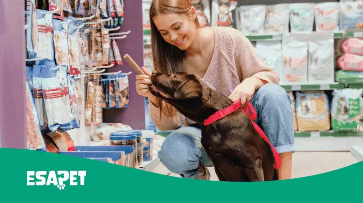 5 Dog-Friendly Stores: Where to Shop with Your Dog 18 dog friendly stores
