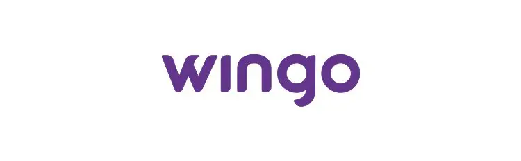 Which Airlines Allow Emotional Support Animals in 2026? 15 Wingo