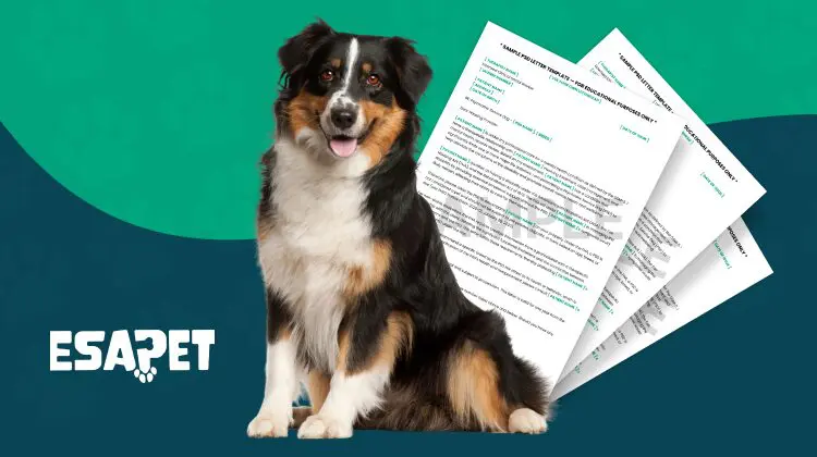 ESA Forms & Letters: Everything You Need to Know 29 Esa form