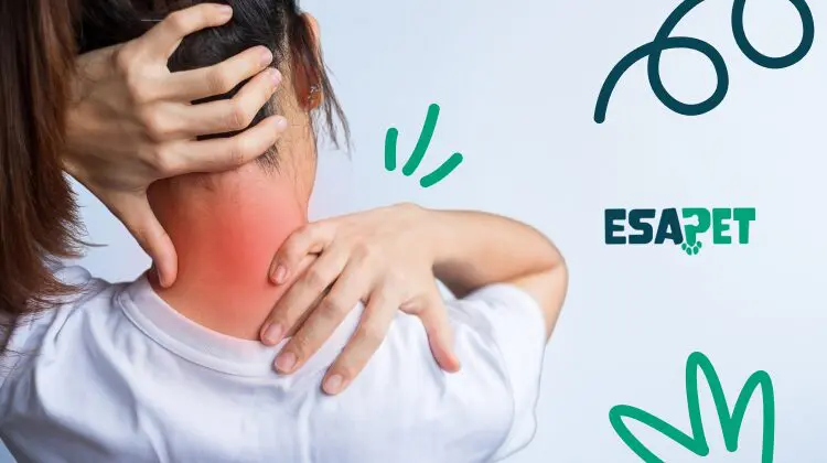 Natural Fibromyalgia Relief Techniques, Therapies & Medicine Alternatives 38 Woman holding her head and neck in pain due to fibromyalgia symptoms