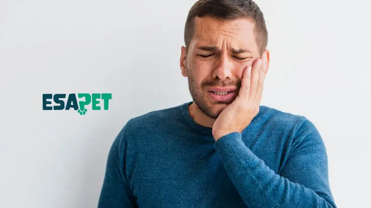 Natural Temporomandibular Joint Disorder Treatment Options for Lasting Jaw Pain Relief 12 Temporomandibular Joint Disorder Treatment