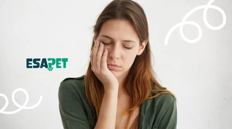 Chronic Fatigue Syndrome Treatments & Alternatives to Medicines 65 chronic fatigue syndrome treatment