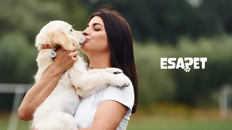How to Take Care of a Dog: Responsible Care for a Healthy, Balanced Life 51 how to take care of a dog