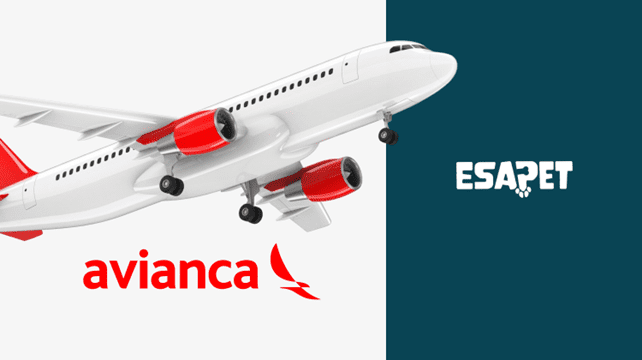 Avianca Pet Policy: Avoid Fees and Pet Travel Stress 11 Avianca Pet Policy
