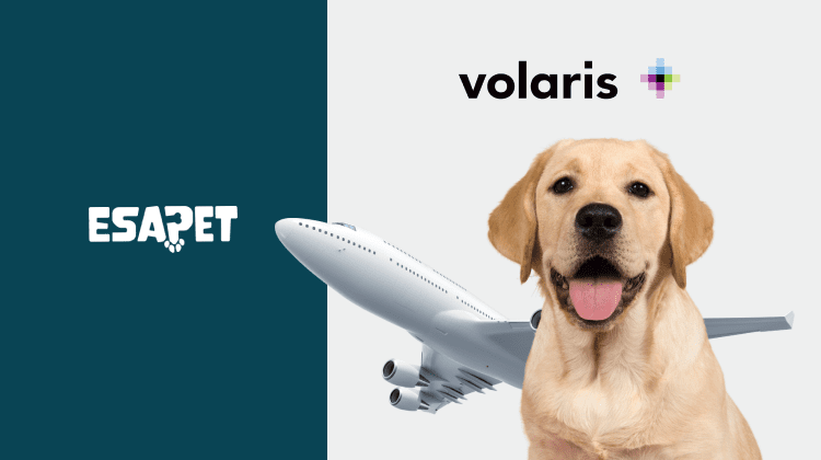 Volaris Pet Policy: What to Know Before You Fly With a Pet in 2026 5 image1 1