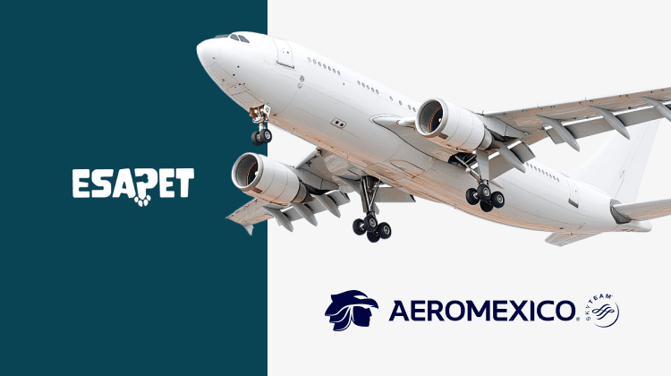 Aeromexico Pet Policy Guide to Fly with Dogs or Cats 2026 3 image1