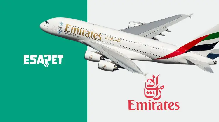 Emirates Pet Policy & Costs to Know Before Flying with Pets in 2026 1 emirates pet policy