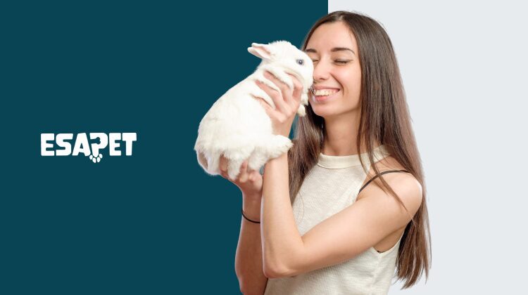 Emotional Support Rabbits