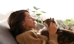 Emotional Support Cats concept. Woman holding a brown cat on her belly.