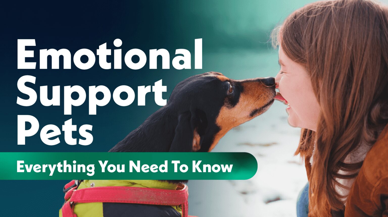 Everything You Need To Know About Emotional Support Pets