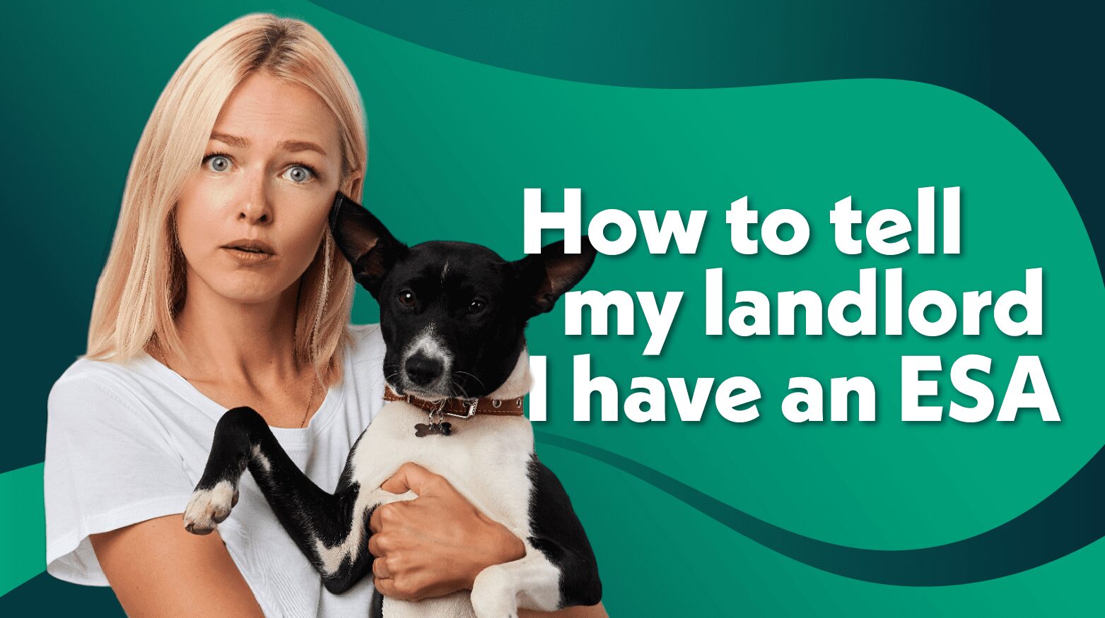 Do I have to tell my landlord I have an emotional support animal? 17 image22