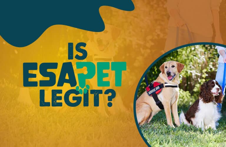 Is ESA Pet Legit? ESA Pet