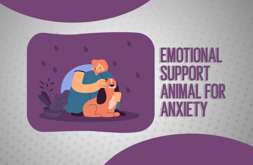 Best Emotional Support Animal for Anxiety ESA Pet