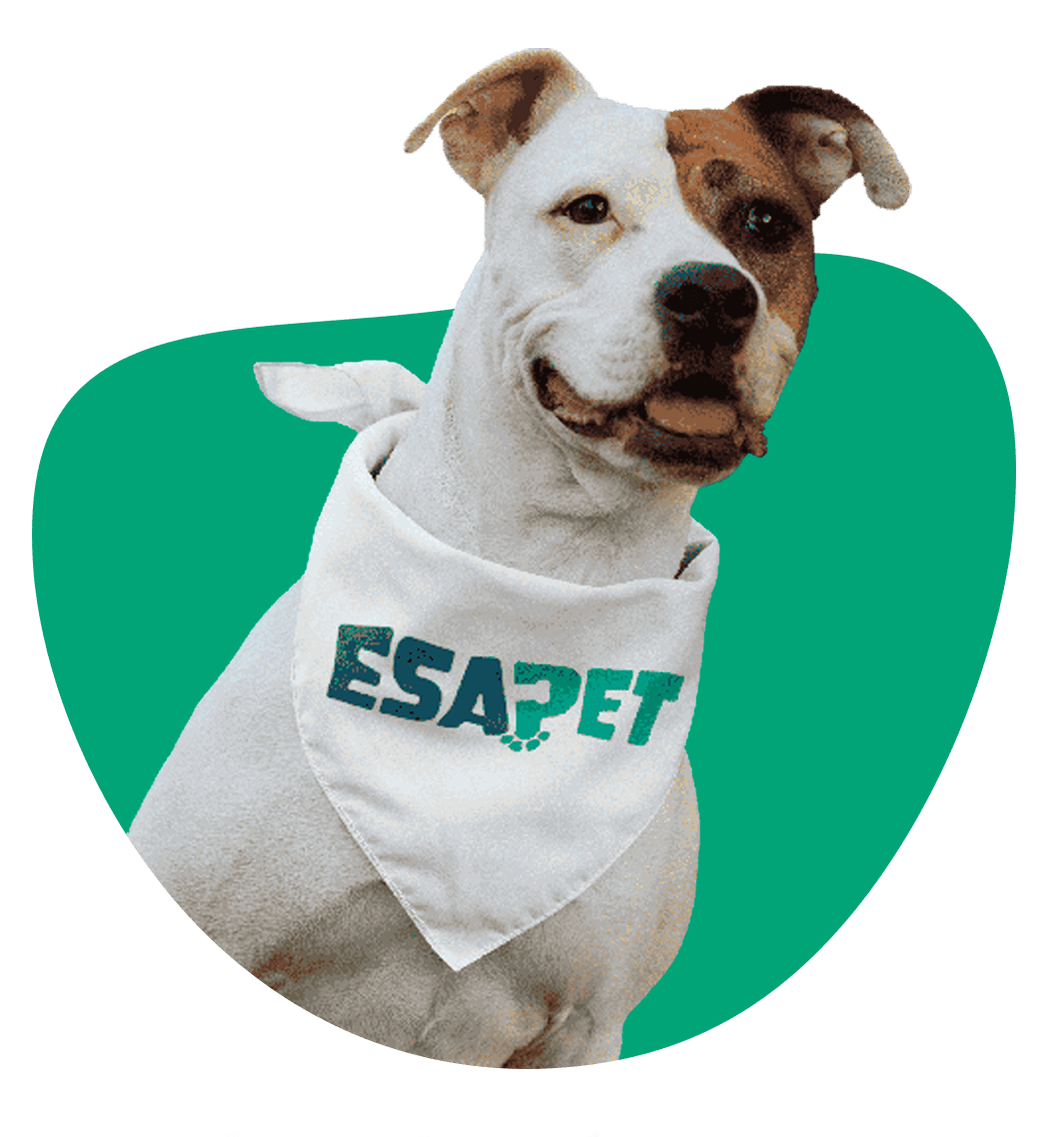 Get your ESA Letter From a Licenced Therapist at ESA Pet
