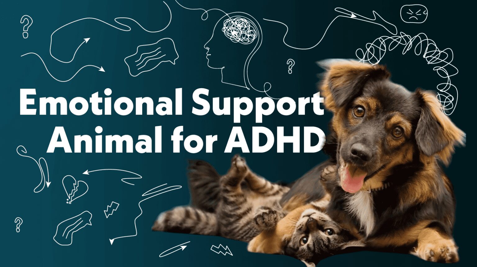 Emotional Support Animal for ADHD All You Need To Know