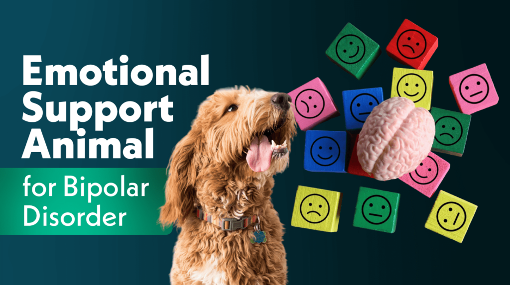 Emotional Support Animal for Bipolar Disorder