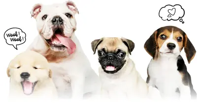 laws-sm-new laws-sm-new