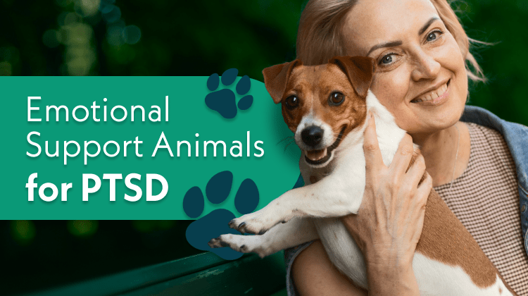 Emotional Support Animal for PTSD: Transformative Impacts on Mental Health