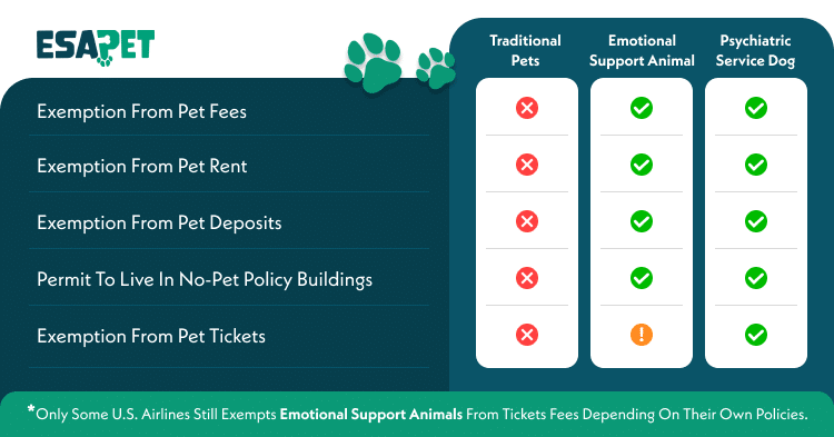 Differences between regular pets, ESAs and PSDs