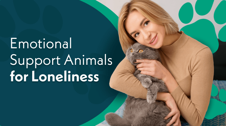 Emotional Support Animals for Loneliness