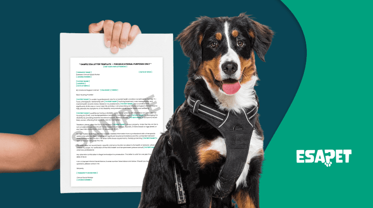 Do ESA Letters Expire Renewal Process