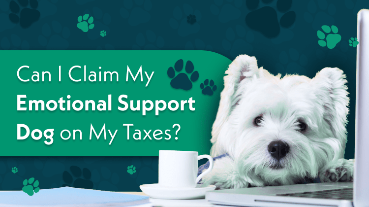 Can I Claim My Emotional Support Dog on My Taxes?