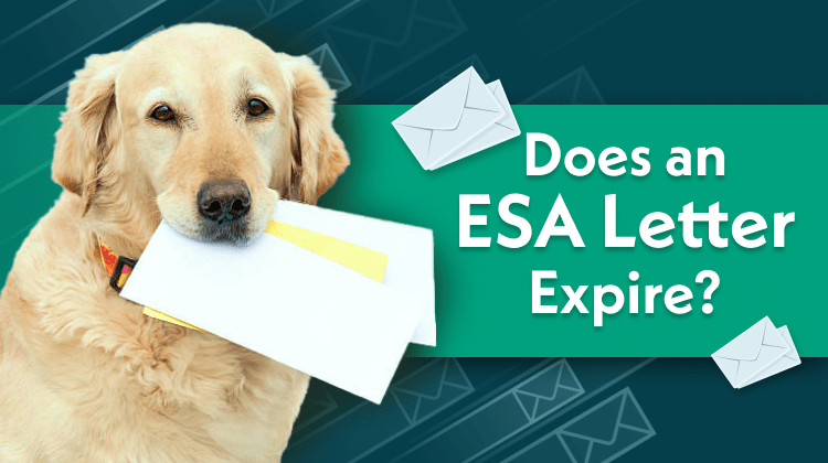 Does an ESA Letter Expire