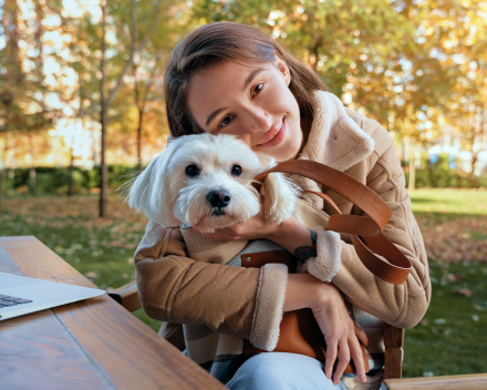 Pet in Restaurant