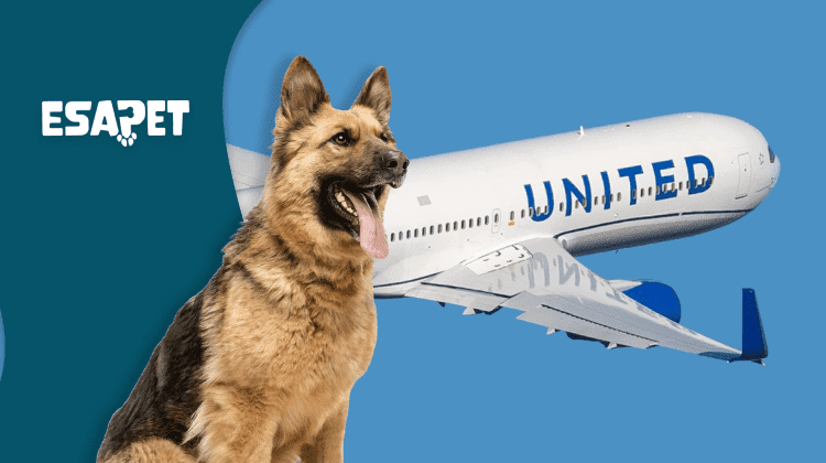 United Airlines Pet Policy