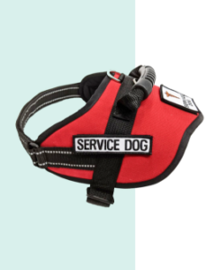 service dog vest