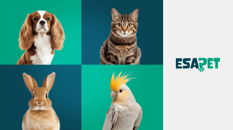 what animals can be emotional support animals