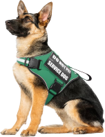 Dogs as Service Animals