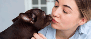 Benefits of Having an Emotional Support Animal