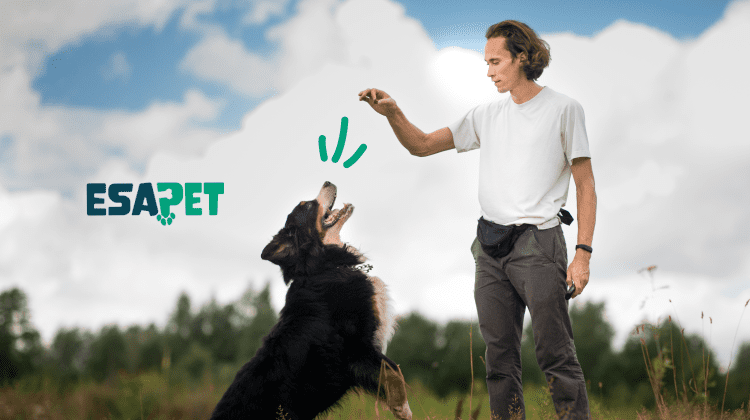 emotional support dog training