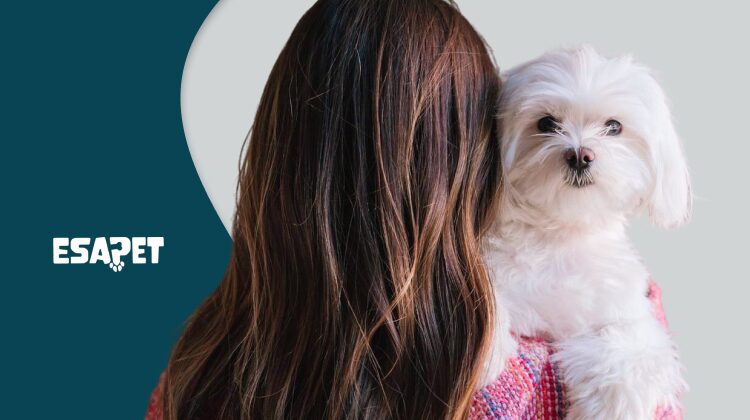 Anxiety Diagnosis: Causes, Symptoms & Treatments 25 Anxiety diagnosis