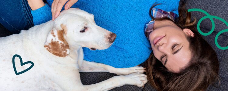 Assistance Animals Help