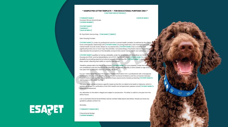 ESA Letter Template: Complete Guide for 2025 20 Esa letter template