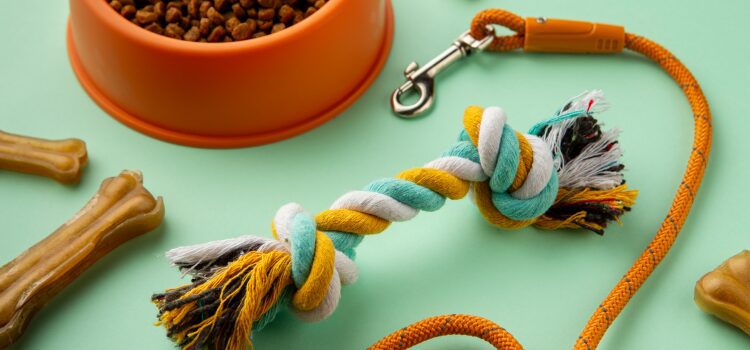 How to Teach a Puppy to Walk on a Leash: The Loose-Leash Guide 8 Essential Tools for Puppy Leash Training