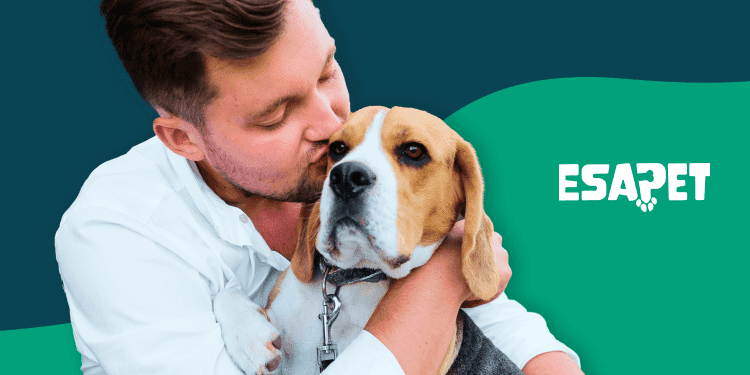 Emotional Support Animal Benefits