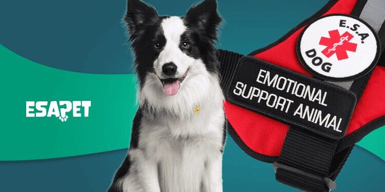 Emotional Support Animal