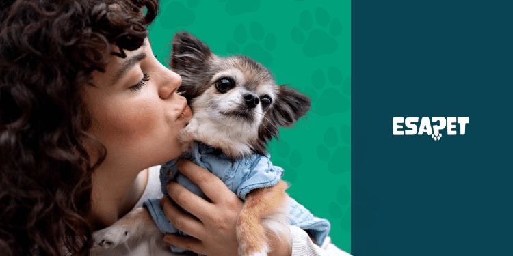 Emotional Support Dogs