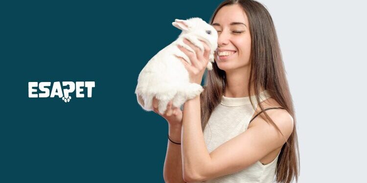 Emotional Support Rabbits