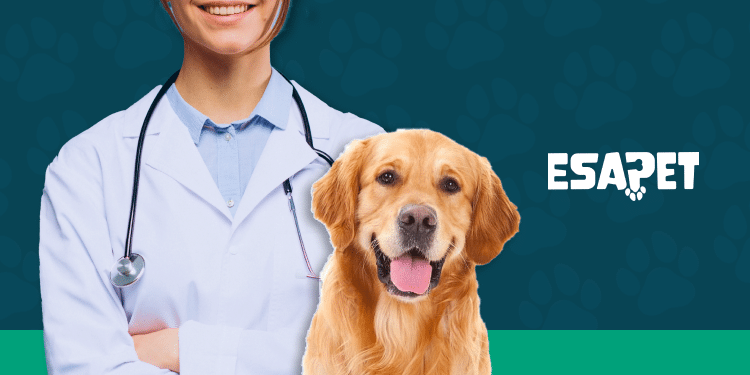 Pet Insurance Coverage