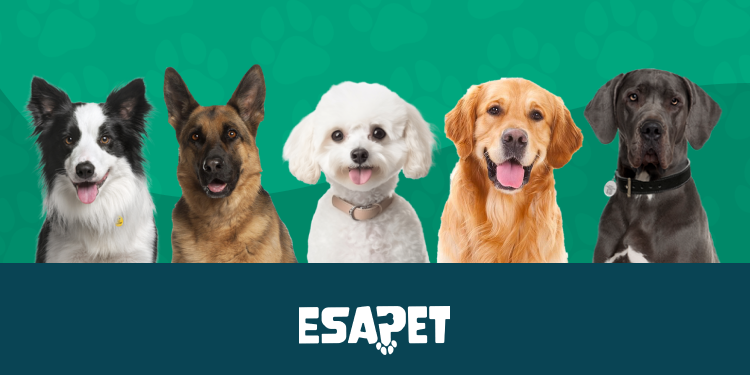 Understanding ESA Breed Restrictions