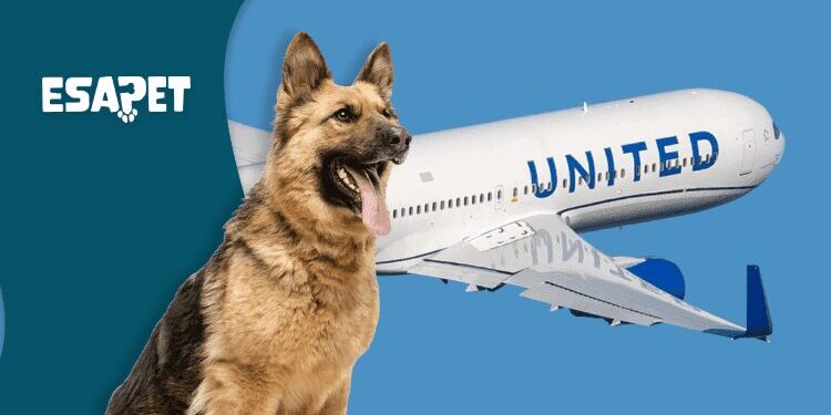 United Airlines Pet Policy