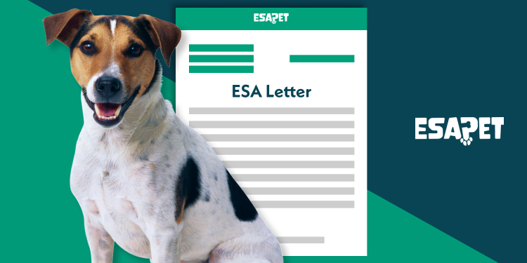 can you get an esa letter before you get a dog